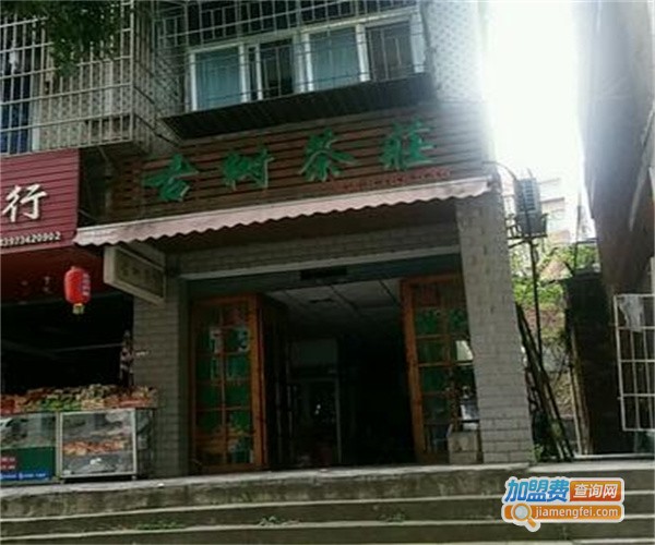 古树茶庄加盟费