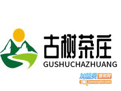 古树茶庄
