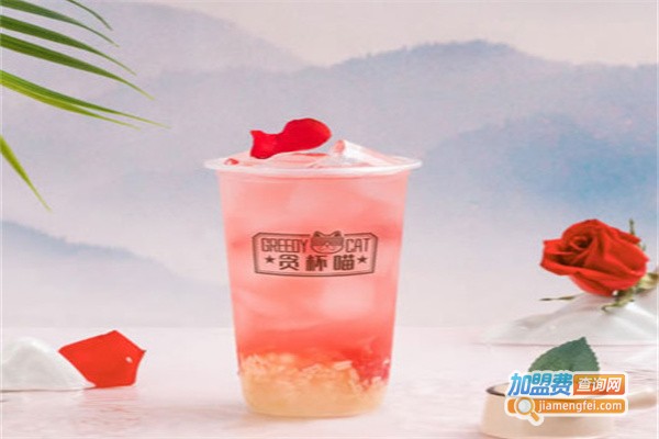 贪杯喵加盟费