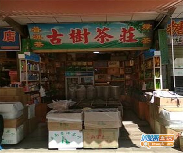 古树茶庄加盟费