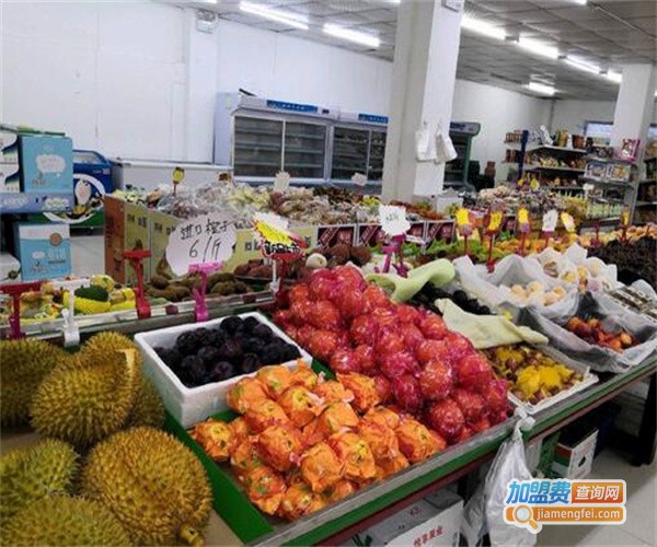 果乐美水果店加盟费