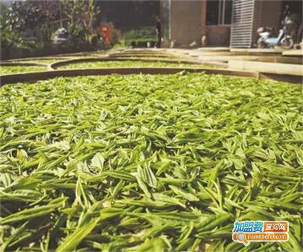 溢香茗茶加盟费