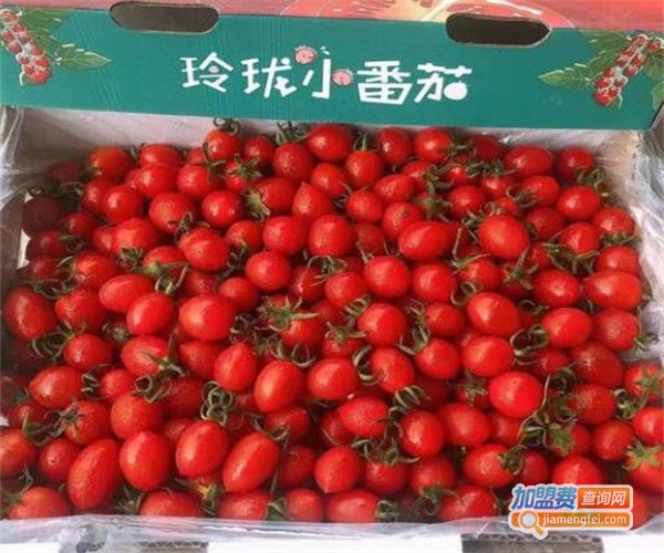 果尚坊水果店加盟