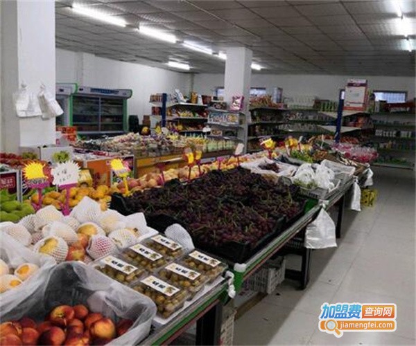 果乐美水果店加盟费