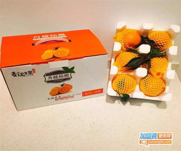 麦瑞果果加盟费