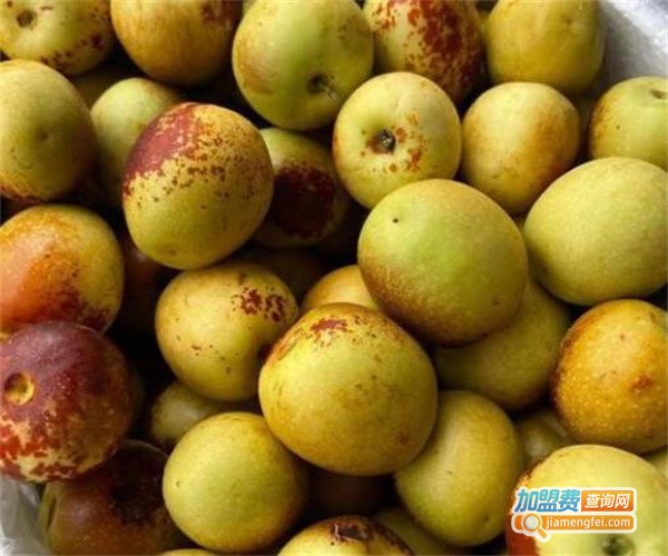 果尚坊水果店加盟