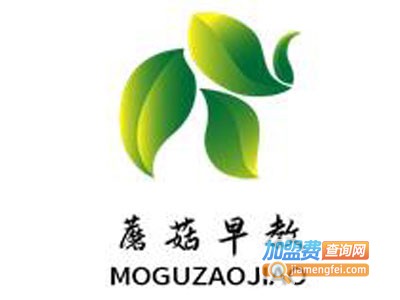 蘑菇早教加盟费