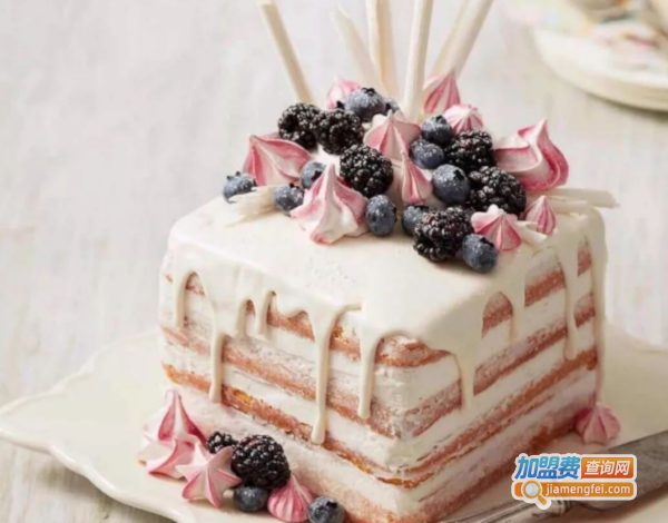 北京极境蛋糕加盟费