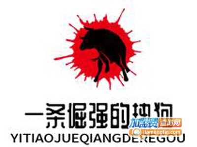 一条倔强的热狗