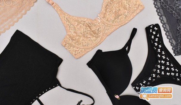 内外内衣加盟费