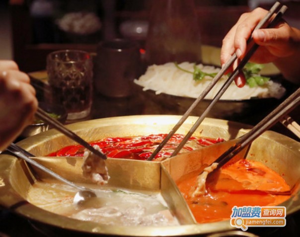 辣伍老火锅加盟费