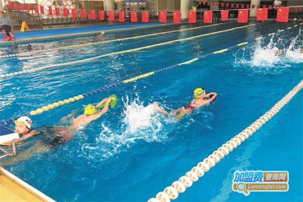 游泳培训学校加盟费