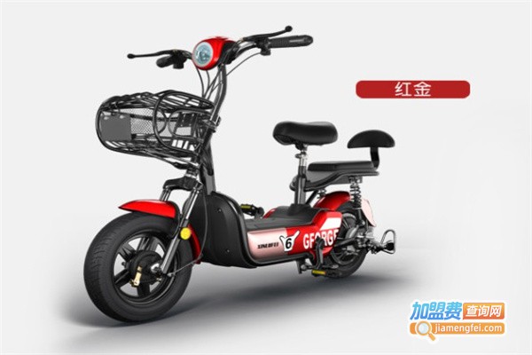 新六飞电动自行车加盟_加盟新六飞电动自行车确实能赚钱！