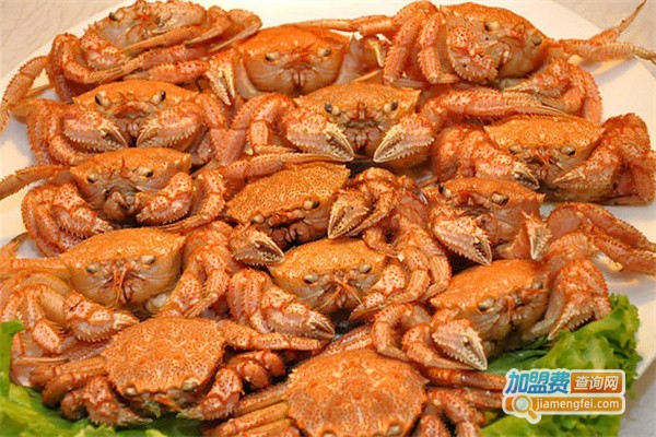 圣鲸国际美食百汇加盟