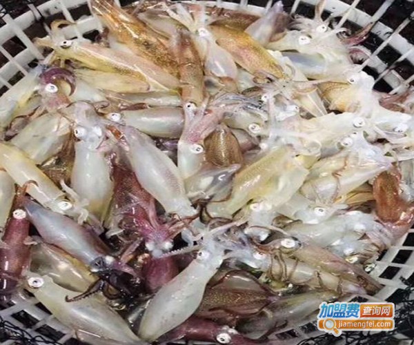 大连海鲜斑鱼火锅加盟费