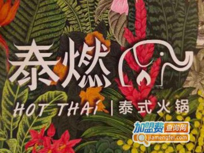 泰燃HotThai泰式海鲜火锅加盟费