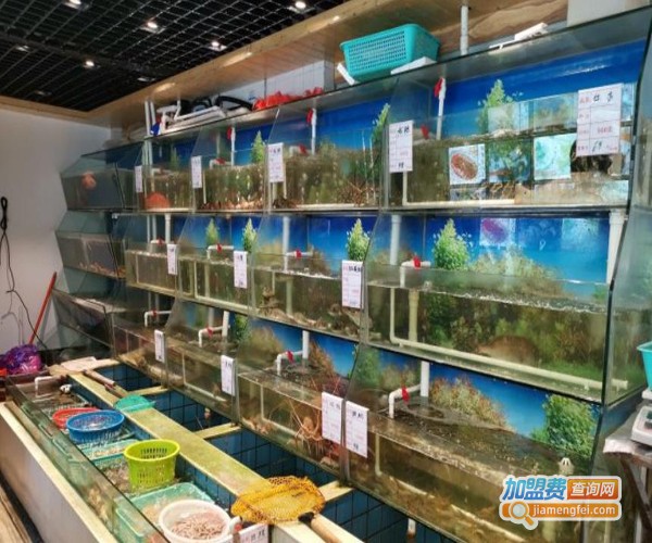 海鲜森海鲜餐厅加盟费多少？