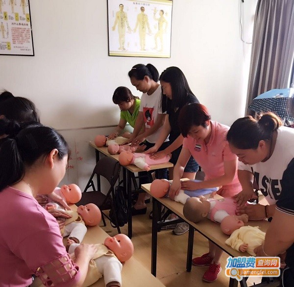 家家乐月嫂加盟费