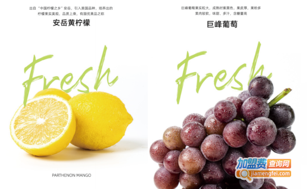新时沏加盟费