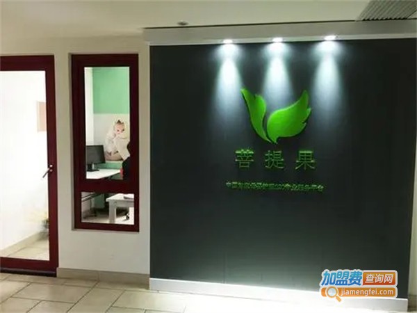 菩提果母婴护理