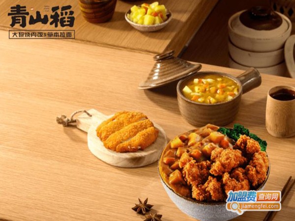 青山稻大碗烧肉饭加盟费