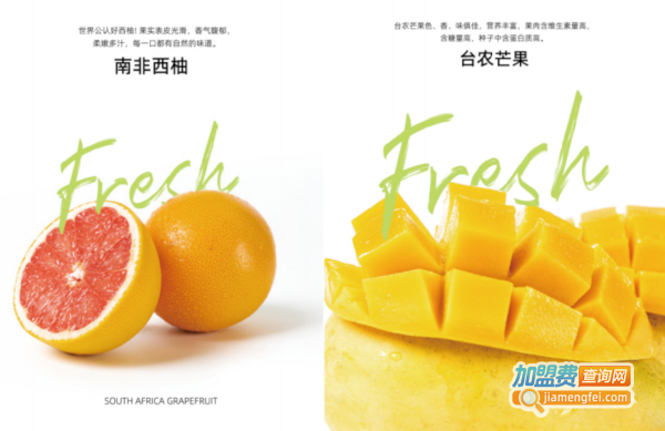 新时沏加盟费