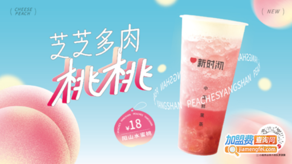新时沏加盟费