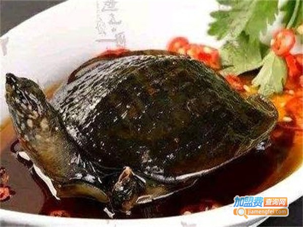 甲天下秘制甲鱼加盟费