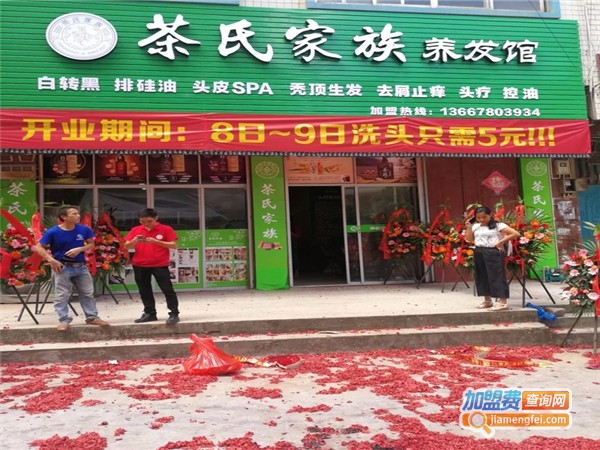 茶氏家族头疗馆加盟费
