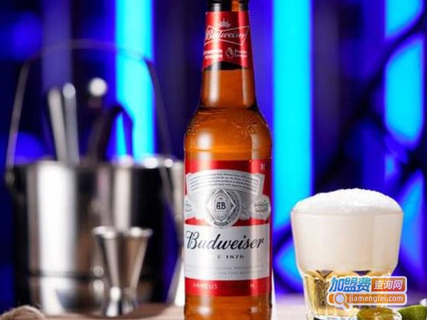 海雾里小酒馆加盟费用