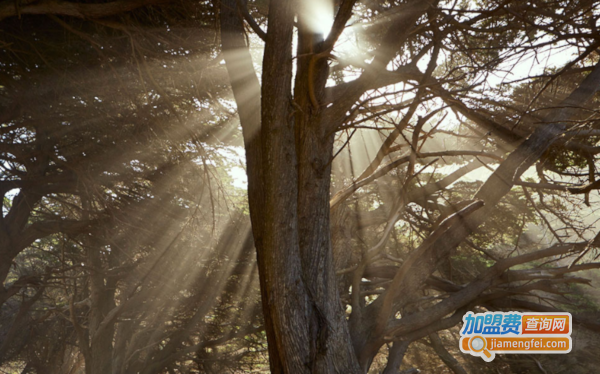 天合光伏发电加盟