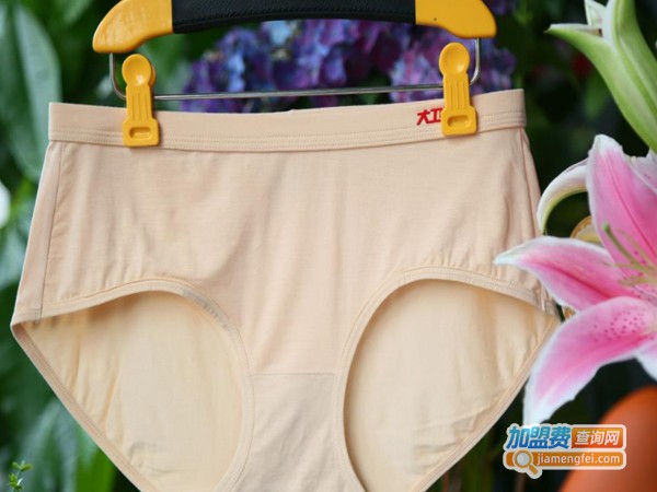 大卫博士内裤代理费用