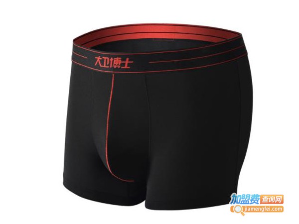 大卫博士内裤代理费用