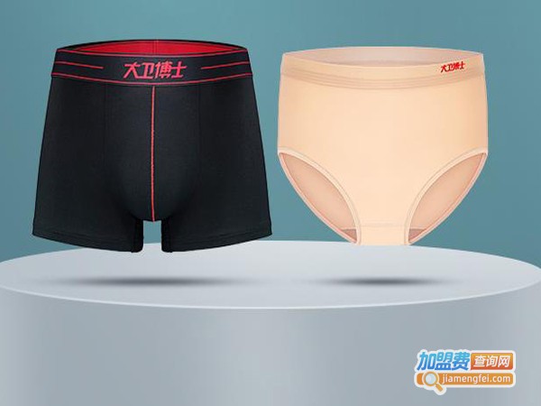 大卫博士内裤代理费用