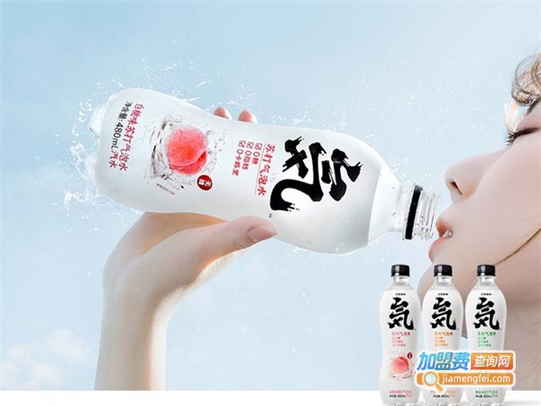 元气森林加盟费