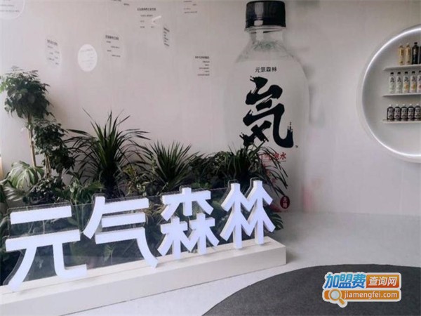 元气森林加盟费