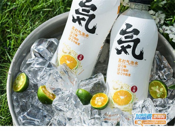 元气森林加盟费