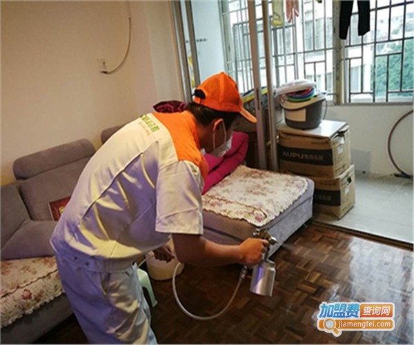 专业除甲醛加盟