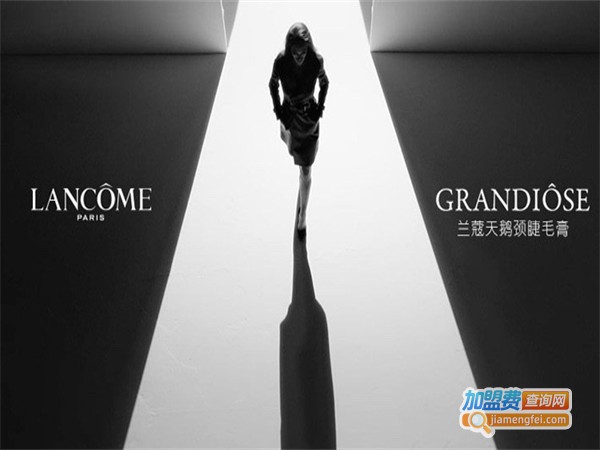 法国兰蔻加盟