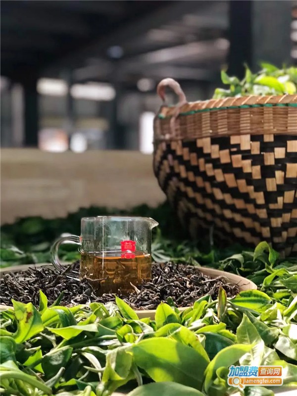 大益普洱茶加盟