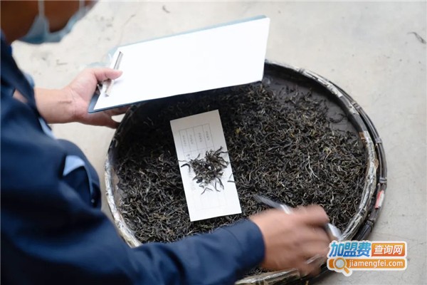 大益普洱茶加盟