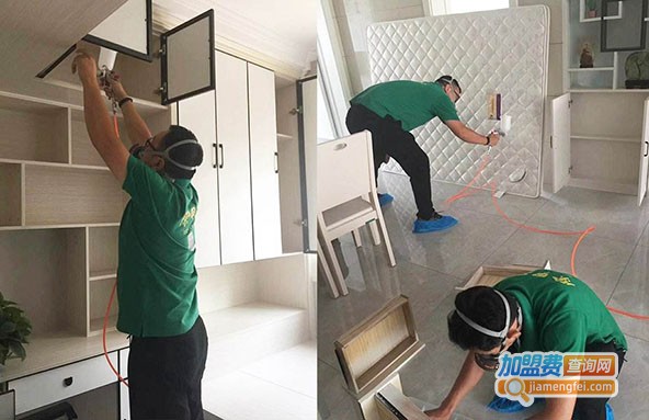 专业除甲醛加盟