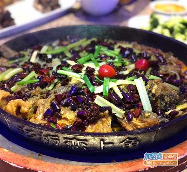 老板恋上鱼加盟费