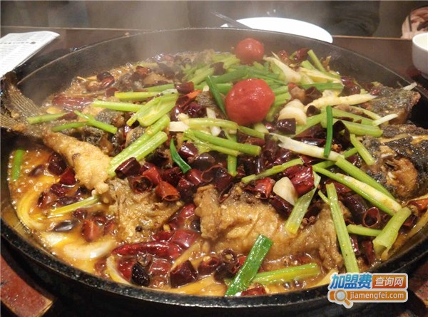 老板恋上鱼加盟费