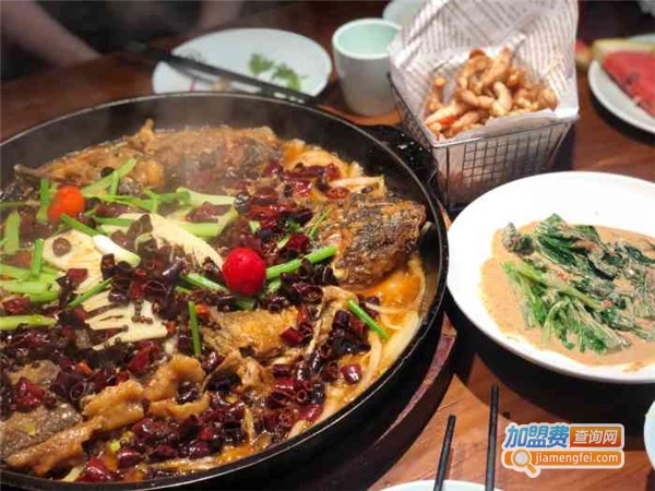 老板恋上鱼加盟费