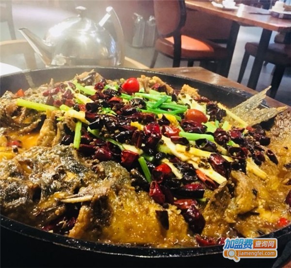 老板恋上鱼加盟费