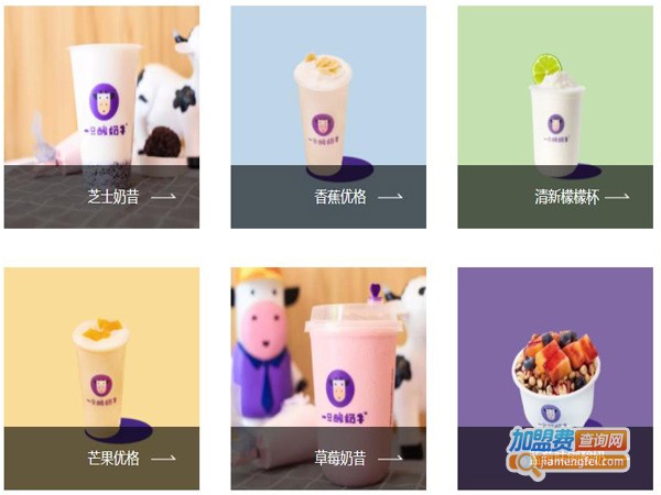 一只酸奶牛加盟