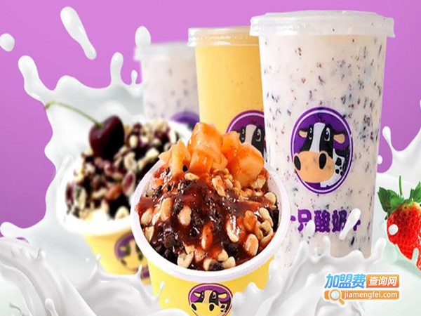 一只酸奶牛加盟