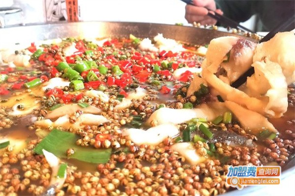 麻小度青花椒鱼加盟