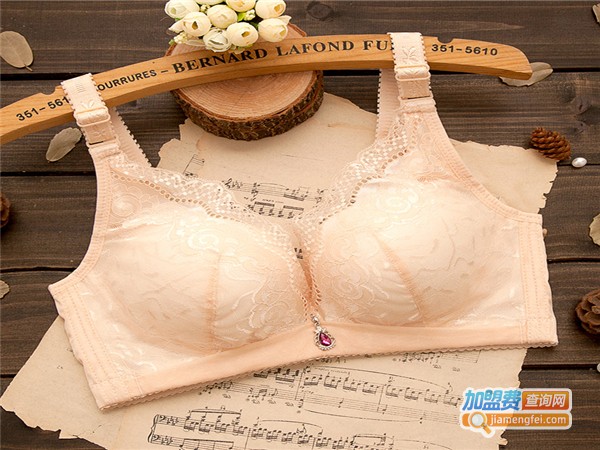 罗丽丝内衣加盟费